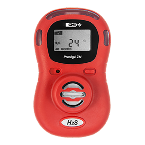 Portable Gas Detector