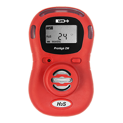 Portable Gas Detector